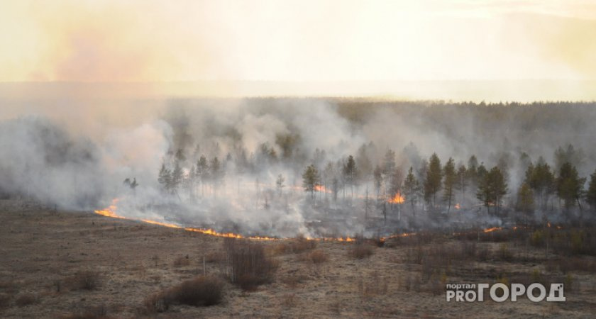 В Вологодской области принимают меры против лесных пожаров