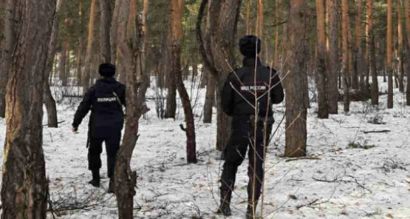 В Вологде найден мужчина, который пропал в лесу