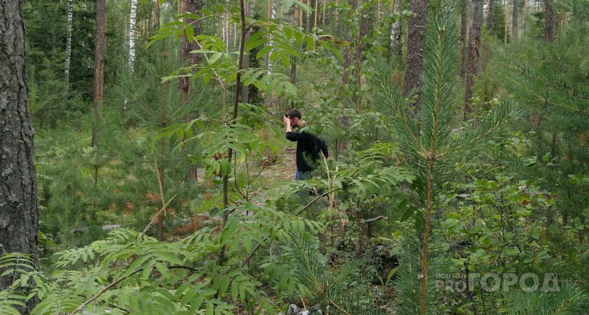 Клещи забьются в конвульсиях от этого запаха: достаточно нескольких капель простейшего средства