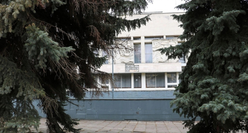 Ели у Вологодского театра драмы хотят вырубить  в рамках благоустройства