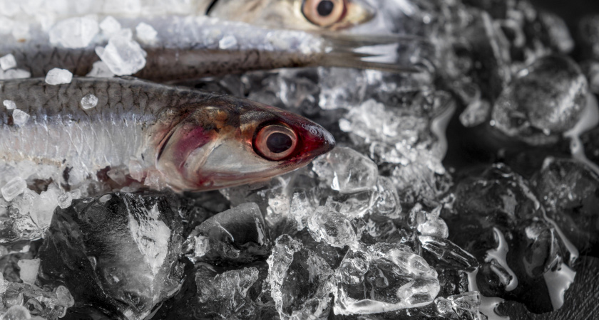 На Вологодском городском рынке выявлены многочисленные нарушения при продаже рыбы