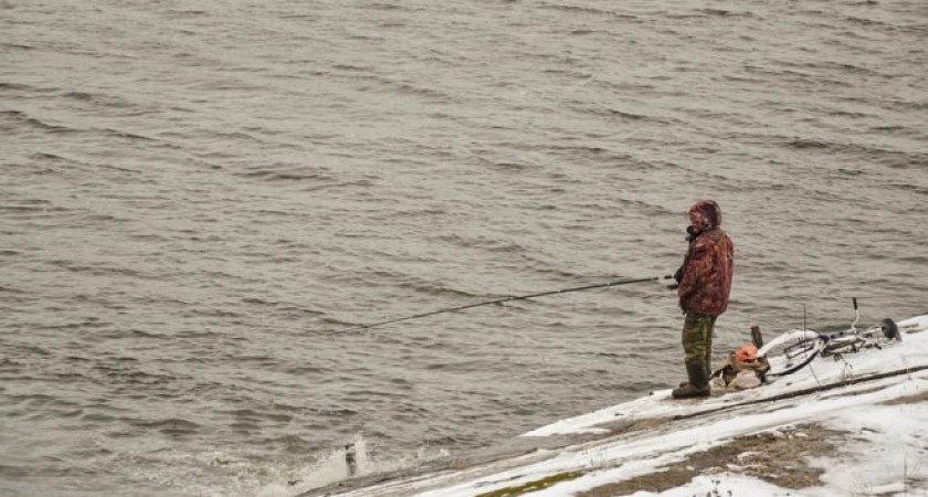 Черемуховые заморозки обрушатся на Россию и покосят весь урожай: как спастись от беды