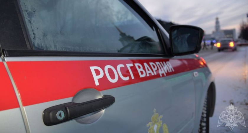 В Вологде хулиган повредил камнями припаркованную у магазина иномарку