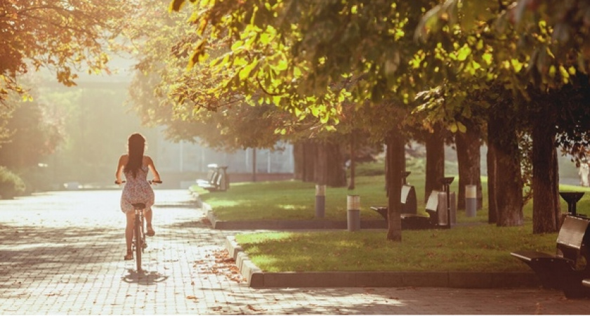 "Парки в лесу": Вологодчина создаст новые зоны отдыха и оздоровления
