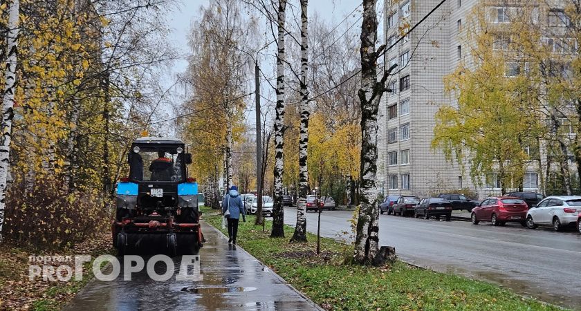 Вологодская компания благодаря нацпроекту будет повышать производительность труда