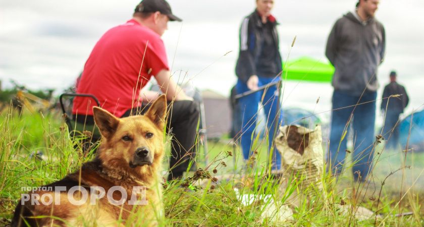 На Вологодчине прошла профориентационная встреча с воспитанниками детского оздоровительного лагеря