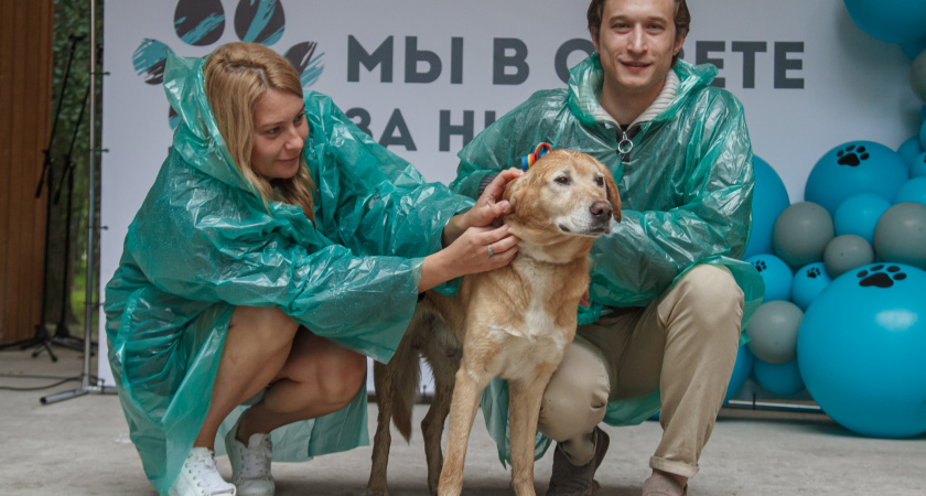 В Вологде зоозащитный фестиваль "Мы в ответе за них"  от партии "Новые люди" собрал более 500 гостей