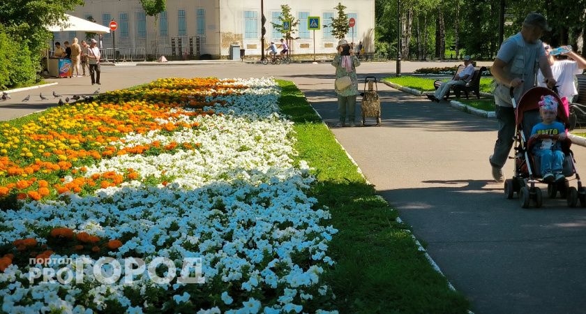 В эти выходные антициклон будет определять погодные условия Вологодчины