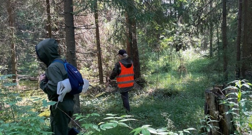 Дело о пропаже вологжанина дошло до Бастрыкина