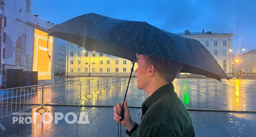 Вологодчину в это воскресенье ожидает дождь 