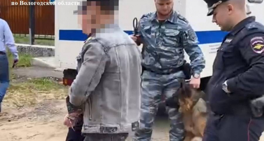 Жителя Вологодской области осудили на 10 лет за хранение оружия и взрывчатки