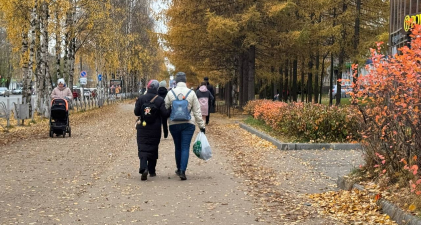 «С воскресенья станет бесплатным для каждого пенсионера». Новая льгота вводится с 1 ноября