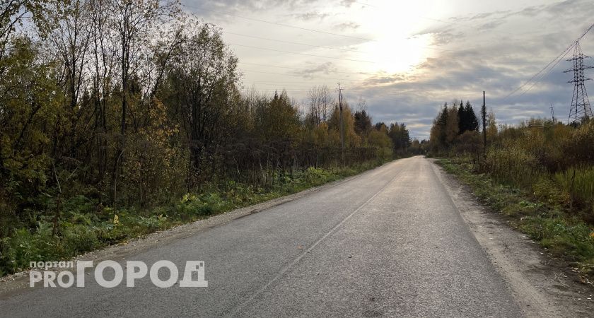 Полицейские помогли заблудшим волгжанкам выйти из леса