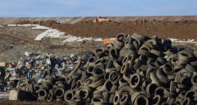 В 2024 году в Вологодской области уже ликвидировано 86 несанкционированных свалок