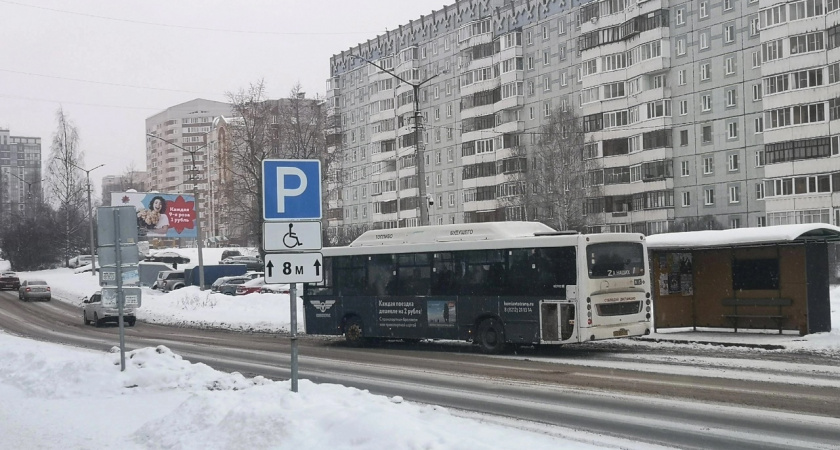 Непогода захватила Вологодскую область: гололед, мокрый снег и ветер