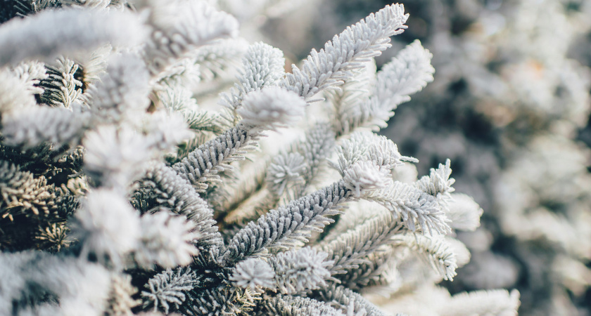 Декабрь и январь будут безумными. Синоптики призвали готовиться к климатическому армагеддону