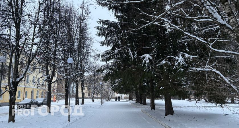 Погода Вологодской области: ожидается местами сильный снег