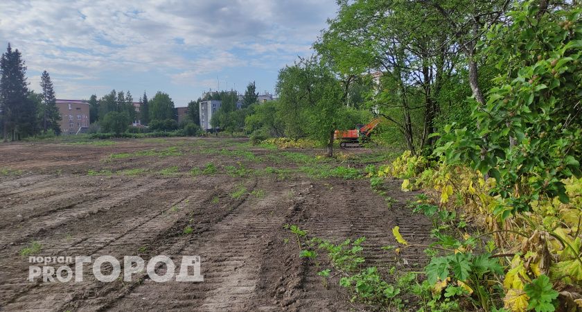 В Вологодской области появится электронный сервис для борьбы с борщевиком