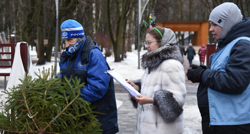 В Вологде более 730 елей переработано в рамках акции «дЕльный круговорот»