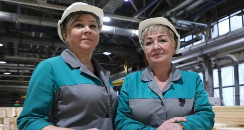 Вологодскую клееную фанеру в январе экспортировали в Ирак, Китай и ЮАР