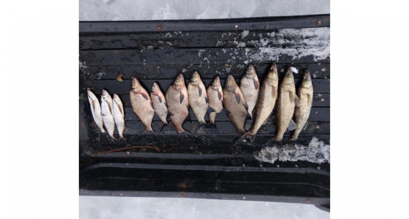 Двоих браконьеров поймали на озере в Вологодской области 