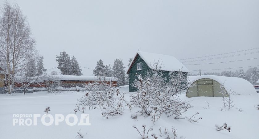 Жители Вологодской области могут потерять свой неосвоенный земельный участок  