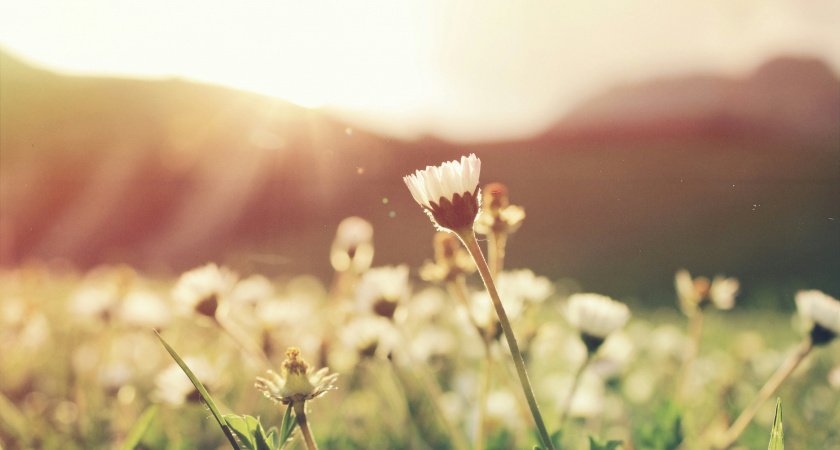 Аномальная жара нагрянет в начале марта: лето придет на два месяца раньше