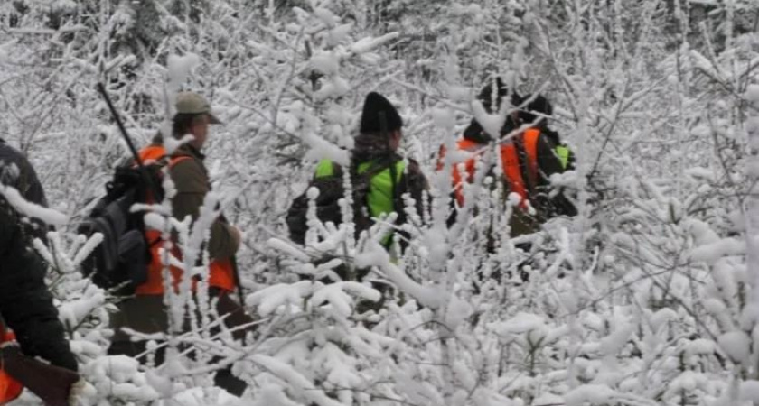 Вологодские охотники с начала года добыли более 30 волков