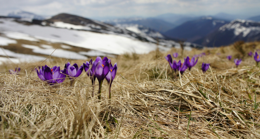 Аномальная жара ожидается в начале марта: лето в этом году наступит на два месяца раньше