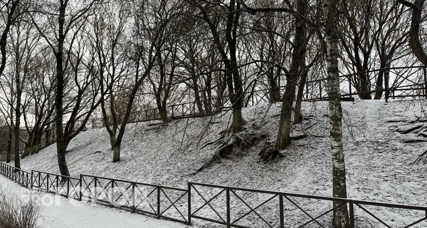 У туристов набирают популярность национальные парки и заповедники Вологодской области