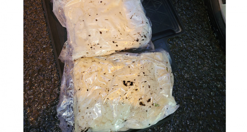 В Вологодской области пресечена деятельность наркокурьера с крупной партией запрещенных веществ