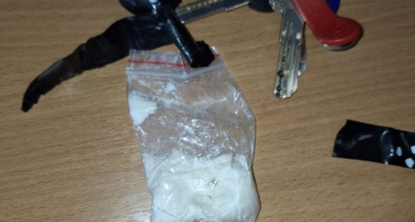 Молодой вологжанин что-то искал в сугробе, чем и привлёк внимание полиции 