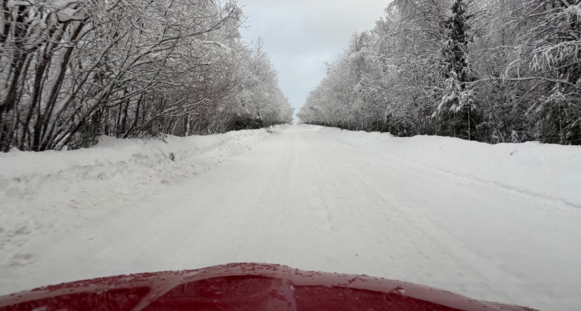 Март начнётся с морозов -33 градуса: Вильфанд озвучил прогноз на начало весны - готовьтесь к худшему