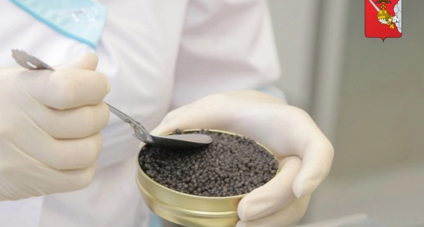 Первая партия осетровой икры в 2025 году из Вологодской области успешно экспортирована в Таиланд