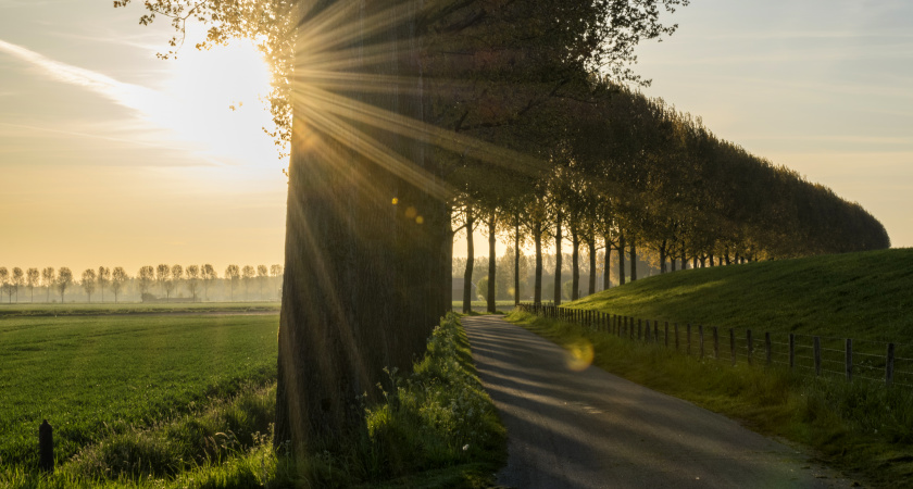 Леденящий холод или адская жара? Синоптики рассказали, что лето пойдет совершенно по другому сценарию