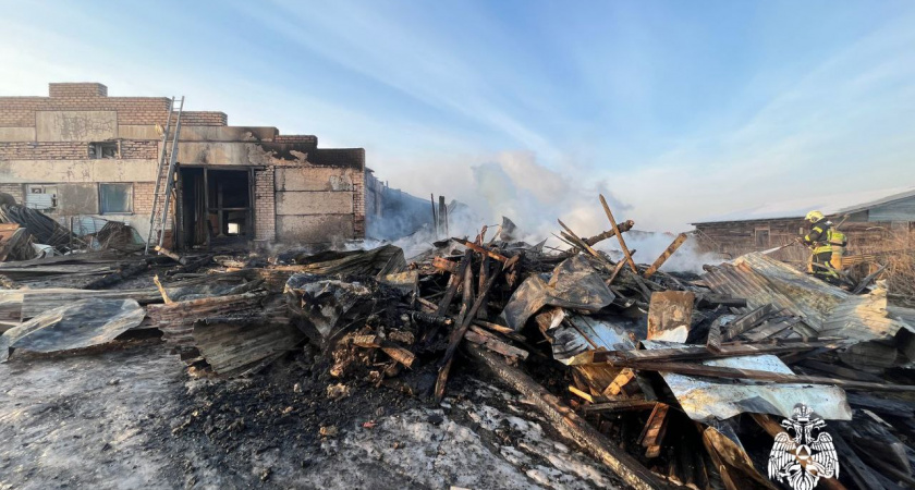 В деревне Вологодской области сгорел дом из-за дымохода