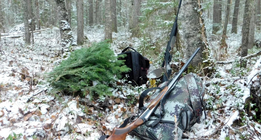 Жители Вологодской области добровольно сдают оружие Росгвардии