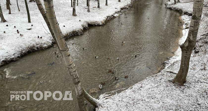 Эксперты заявили об отсутствии половодья в Вологде в этом году