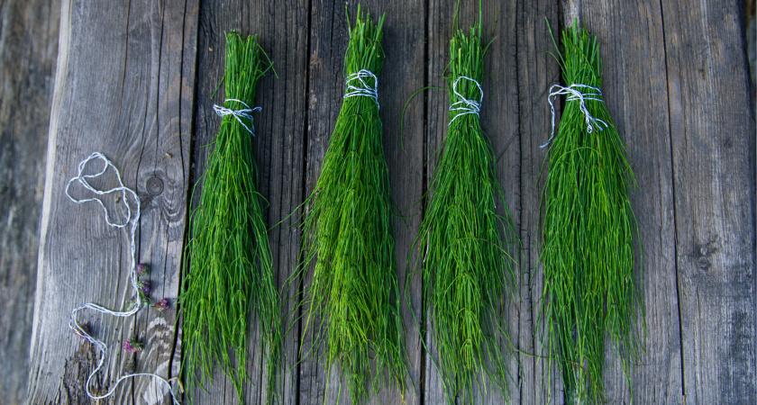 Нужно ли мыть укроп и петрушку. Запомните эти правила раз и навсегда