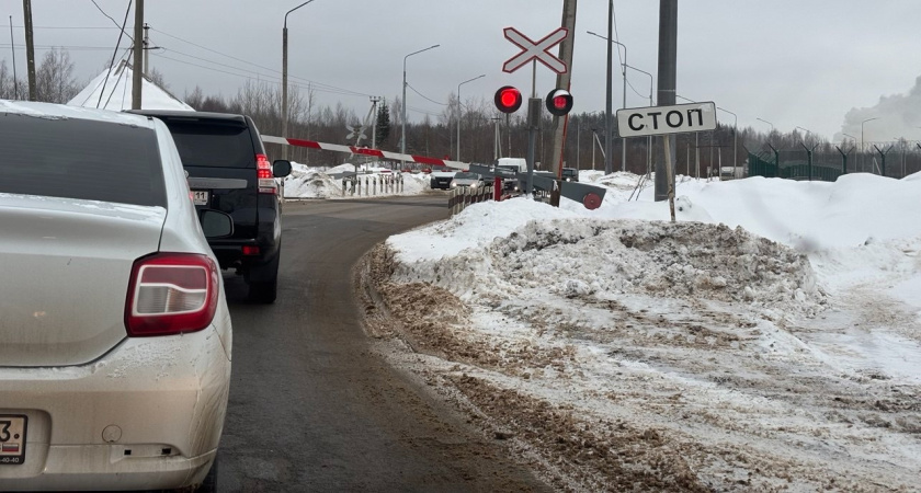 С пятницы будут лишать прав сразу на 1,5 года: ГИБДД начала поиск трех типов водителей