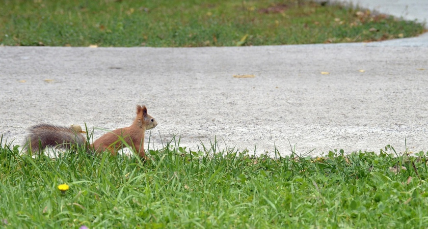 Аномальная жара ожидается в начале марта: лето придет намного раньше
