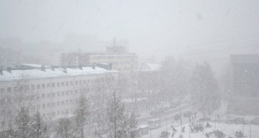 Холодный май и аномальная жара в августе. Синоптики озвучили новый прогноз на лето — будет хуже, чем мы думали