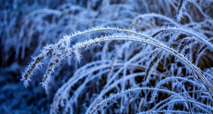 В марте ожидается мороз -33 градуса: Вильфанд представил прогноз на начало весны - готовьтесь к худшему