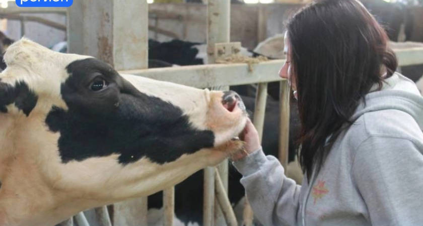 В Вологодской области формируют студенческие отряды для летних сельхозработ