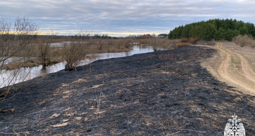 Несмотря на снег, в Вологодской области продолжают гореть сухая трава