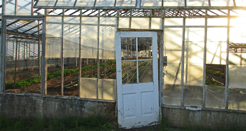 С 12 апреля на теплицы вводится запрет: приняли решение для россиян, у кого есть дача или участок - новые штрафы