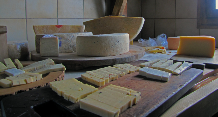 "Не берите этот сыр даже по акции - он в черном списке": что советуют эксперты Роскачества