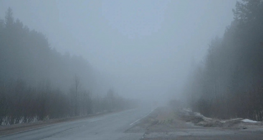 В Вологодской области задержали мужчину за незаконную вырубку леса на 3,5 миллиона рублей