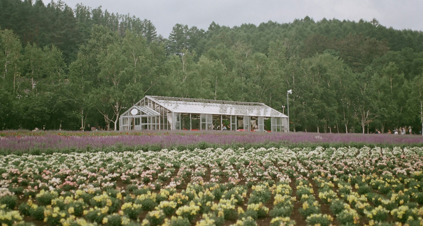 С 18 апреля теплицы под запретом: новое решение для всех россиян, у кого есть дача или участок - новые штрафы