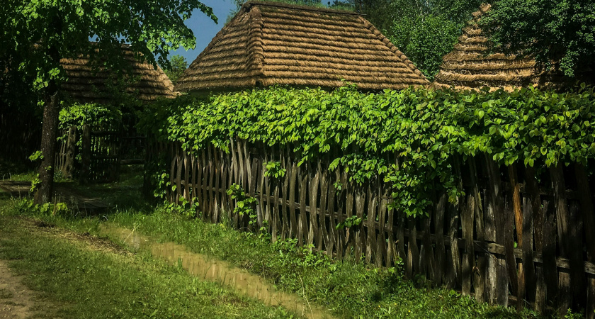 В конце апреля начнут забирать землю: всех, у кого участок или дача в собственности, ждет неприятный сюрприз